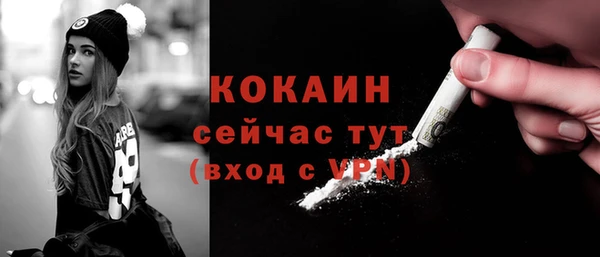 МДПВ Рославль