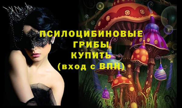 МДПВ Рославль